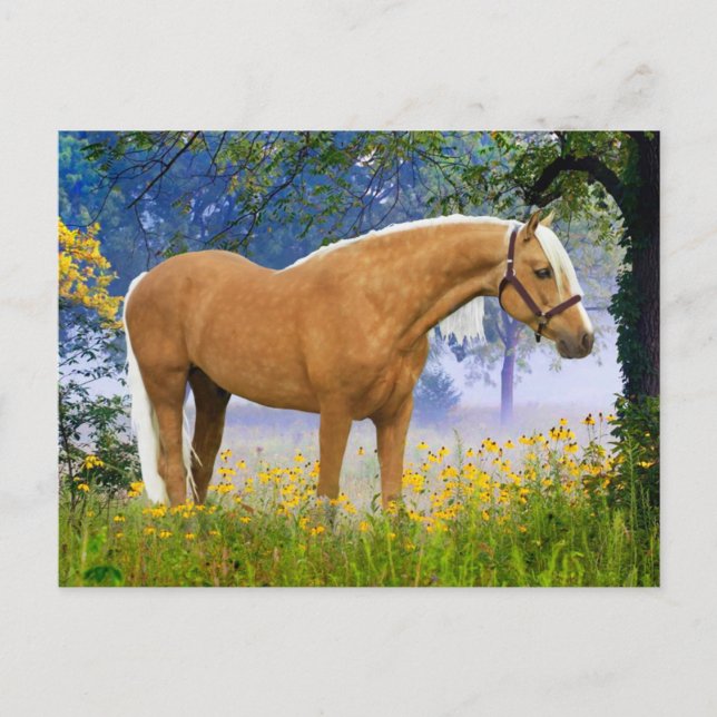 Carte Postale "Un Matin Fou" (Devant)