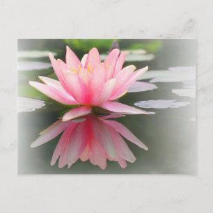 Carte Postale Un merveilleux bassin d'eau dans un étang