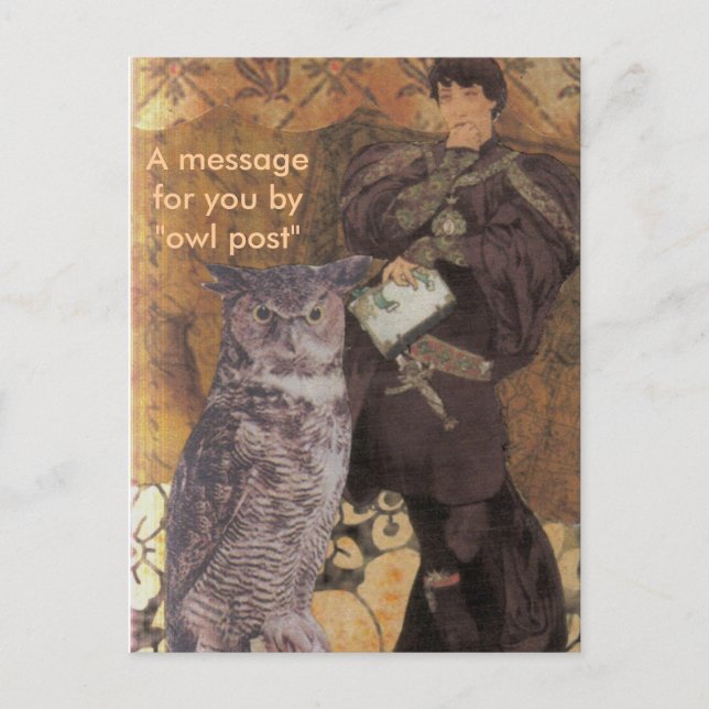 Carte Postale Un message pour vous par le "courrier de hibou " (Devant)