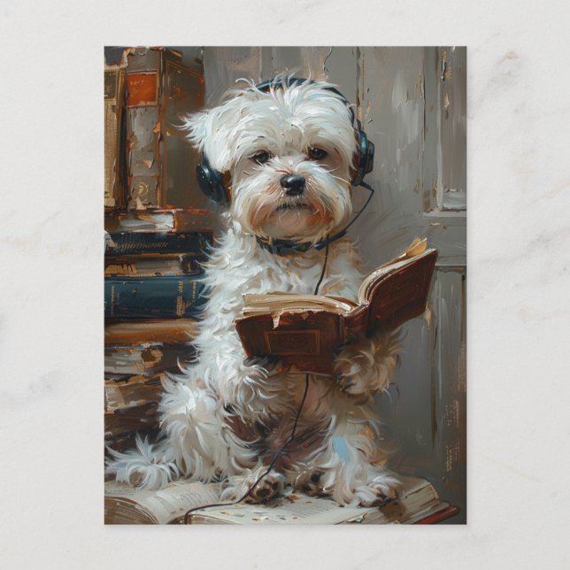 Carte Postale Un mignon chien blanc lisant un livre (Devant)