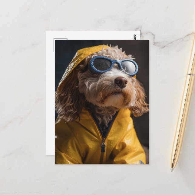 Carte Postale Un mignon chien en imperméable jaune (Devant/Arrière en situation)