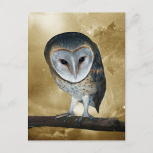 Carte Postale Un mignon petit Imaginaire de Chouette