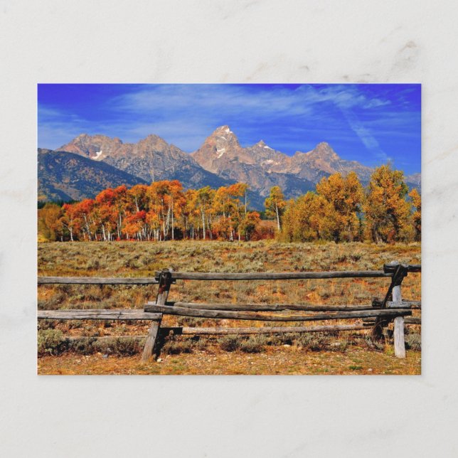 Carte Postale Un moment au Wyoming en automne (Devant)