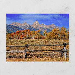 Carte Postale Un moment au Wyoming en automne