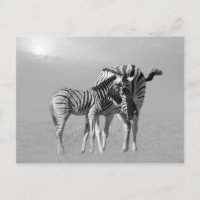 Un moment tendre entre maman et bébé