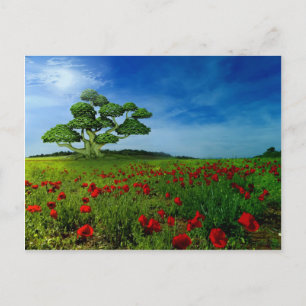 Carte Postale Un monde merveilleux