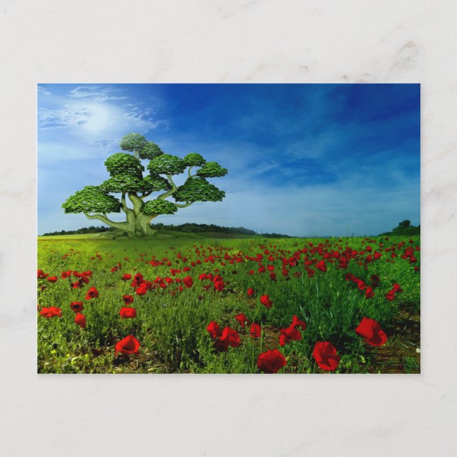 Carte Postale Un monde merveilleux (Devant)