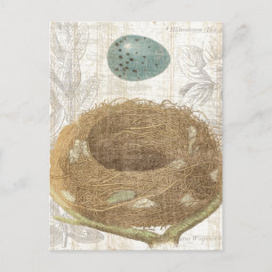 Carte Postale Un nid d'oiseaux avec un oeuf décoratif