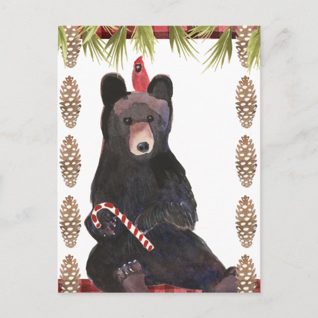 Carte Postale Un Noël très bariolé avec des Pinecones (Devant)