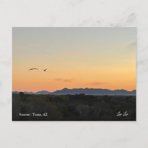 Carte Postale Un nouveau jour