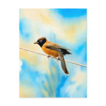 Un oiseau solitaire et coloré