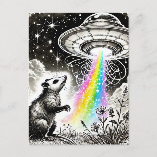 Carte Postale Un opossum et un OVNI (Devant)
