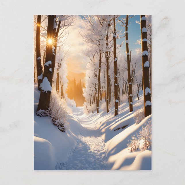 Carte Postale Un pays des merveilles hivernales vous attend sur  (Devant)