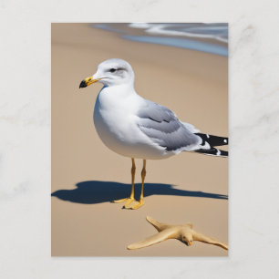 Carte Postale Un petit mouette sur une jolie plage entourée de g