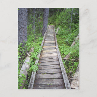Carte Postale Un pont dans les bois