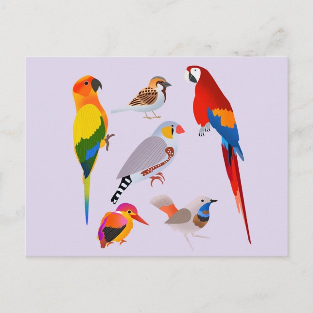 Carte Postale Un rassemblement d'oiseaux (Devant)