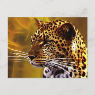 Carte Postale Un regard de léopard