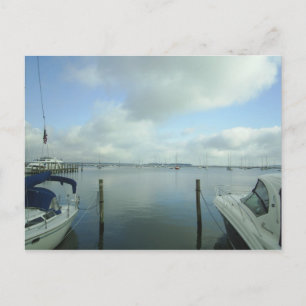 Carte Postale Un regard sur le port