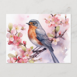 Carte Postale Un Robin de Printemps parmi les fleurs de cerisier
