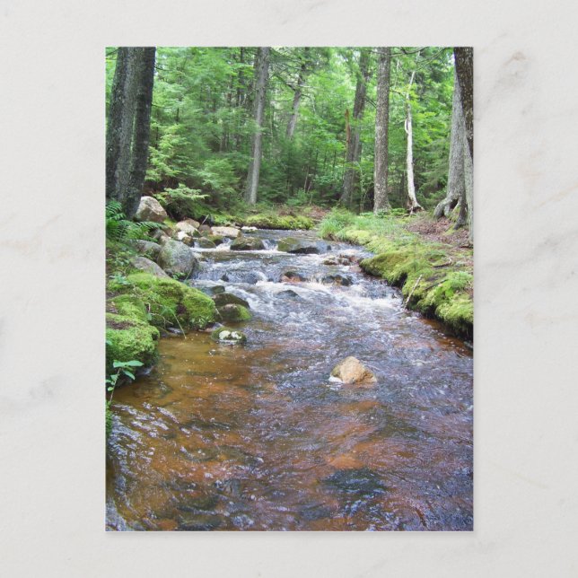 Carte Postale Un ruisseau acadien (Devant)