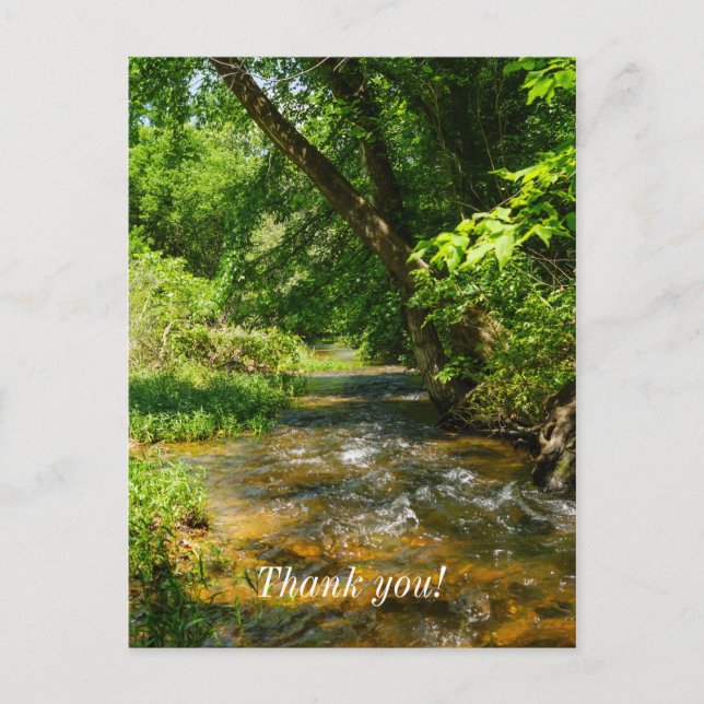 Carte Postale Un ruisseau de campagne (Devant)