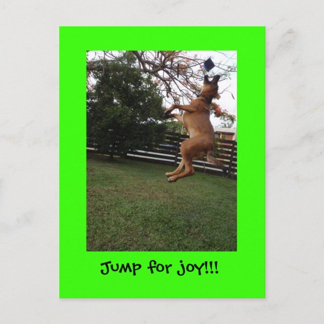 Carte Postale Un saut de joie ! ! (Devant)
