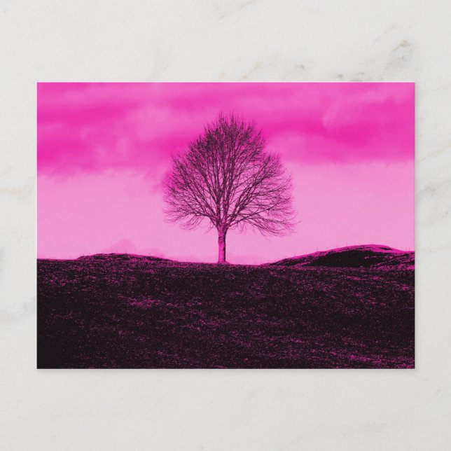 Carte Postale Un seul arbre Silhouette Paysage rose chaud (Devant)
