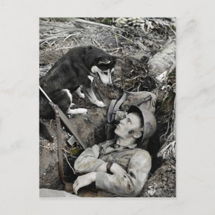 Carte Postale Un soldat qui regarde un chien dans son trou de bo