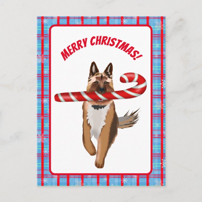 Carte Postale Un Sucre de canne berger très allemand Noël (Devant)
