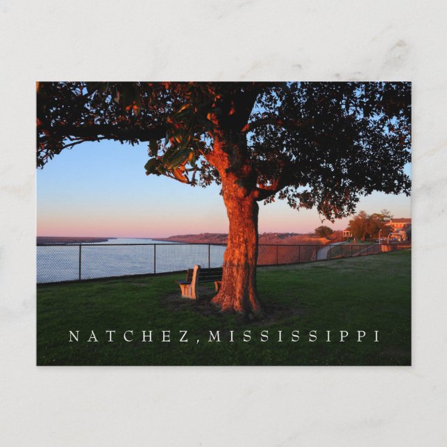 Carte Postale Un temps de commémoration - Natchez, Mississippi (Devant)