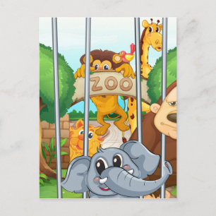 Carte Postale un zoo et les animaux