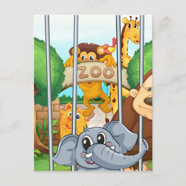 Carte Postale un zoo et les animaux (Devant)