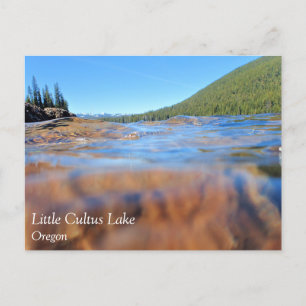 Carte Postale Underwater View