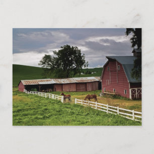 Carte Postale Une balade à travers le pays agricole de Palouse 4