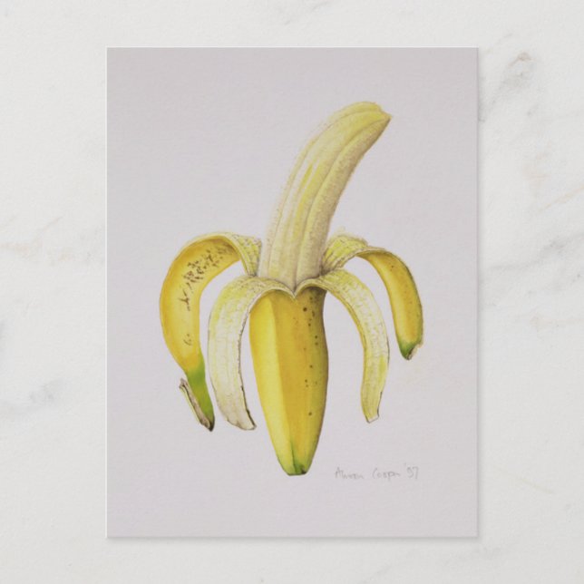 Carte Postale Une banane à moitié pelée 1997 (Devant)