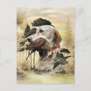 Carte Postale Une bécasse avec le setter anglais