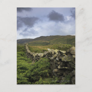 Carte Postale Une Clôture De Pierre À Travers Les Champs