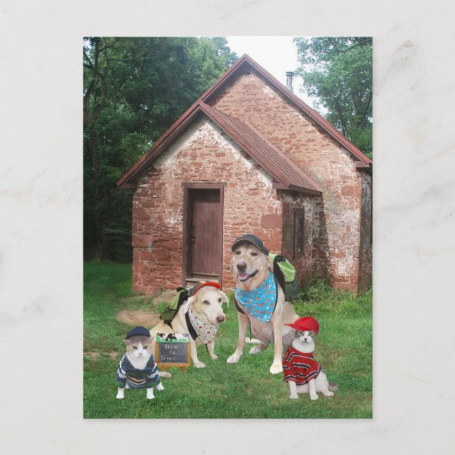 Carte Postale Une école (Devant)