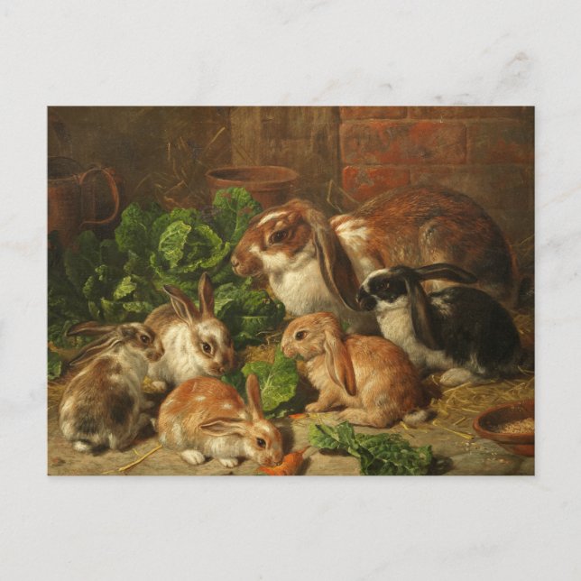Carte Postale Une famille de lapins par Alfred Richardson Barber (Devant)
