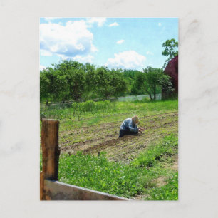 Carte Postale Une Femme Plantant Jardin Près De La Grange