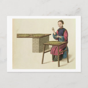 Carte Postale Une femme préparant du thé, assiette 21 de "Le cos