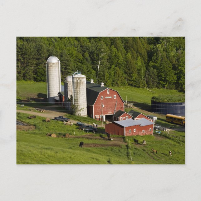 Carte Postale Une ferme à Barnet Centre, Vermont. Connecticut (Devant)