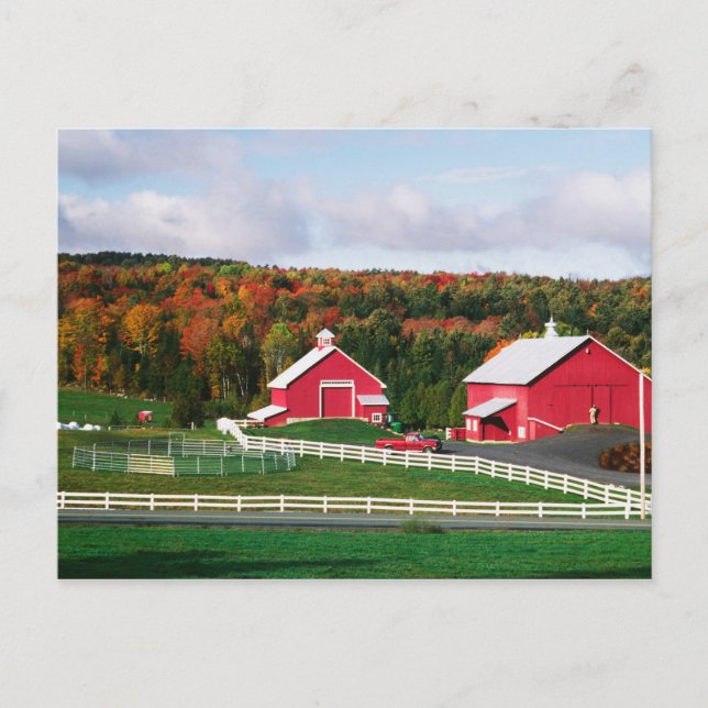 Carte Postale Une ferme dans le Vermont près de Peacham. DÉCHARG (Devant)