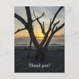 Carte Postale Une folle aube