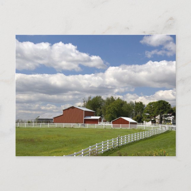 Carte Postale Une grange rouge et une ferme à Pamona, Kansas. (Devant)