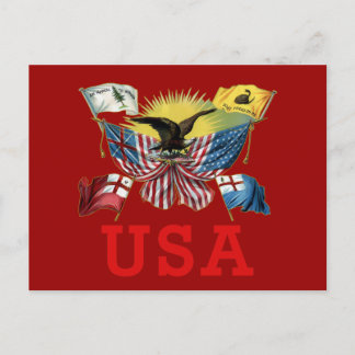 Carte Postale Une histoire des drapeaux américains sur un T-shir