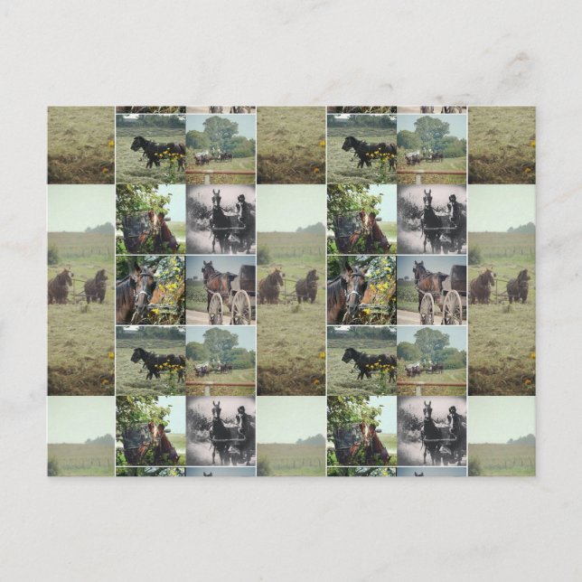 Carte Postale Une journée à Kalona, Iowa (Devant)