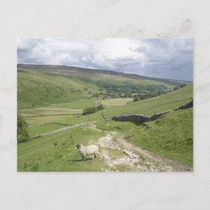 Carte Postale Une journée dans la collection Yorkshire Dales