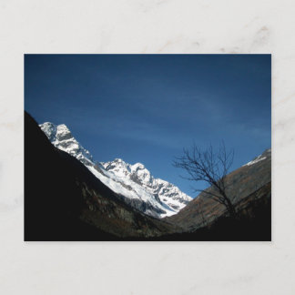 CARTE POSTALE UNE MARCHE