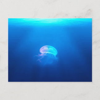 Carte Postale Une méduse